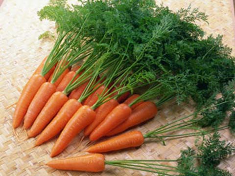 Không nên giữ cả lá khi bảo quản cà rốt