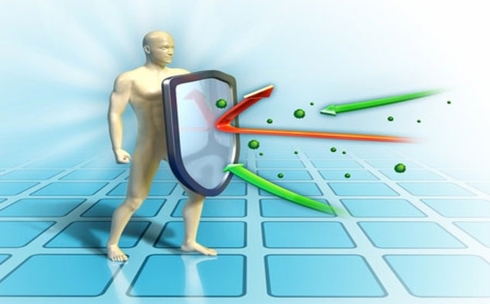 quả xoài có lợi ích không ngờ cho sức khỏe hình 1 qua xoai co loi ich khong ngo cho suc khoe hinh 1