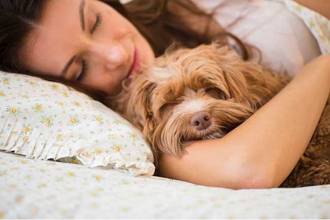 mách bạn 7 lợi ích sức khỏe của việc ăn tối sớm hình 1 mach ban 7 loi ich suc khoe cua viec an toi som hinh 1