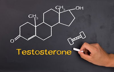 Những loại thực phẩm làm giảm mức testosterone
