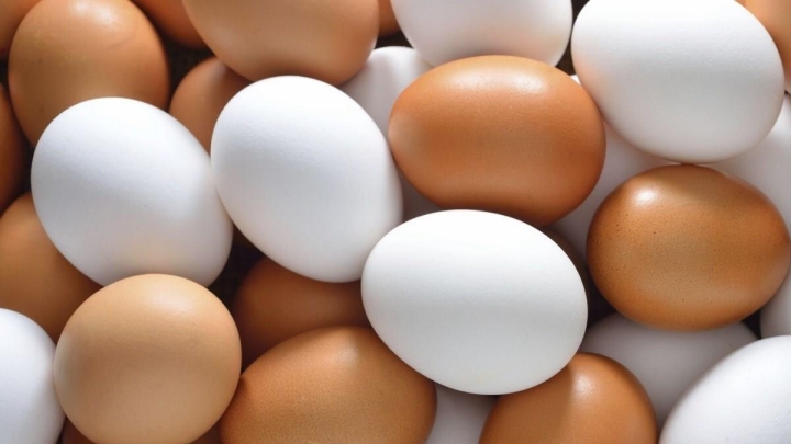 Có nên rửa sạch trứng trước khi cho vào tủ lạnh?